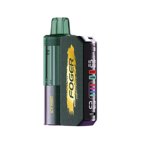 Foger Switch Pro 30K Vape (Kit) – Icy Mint