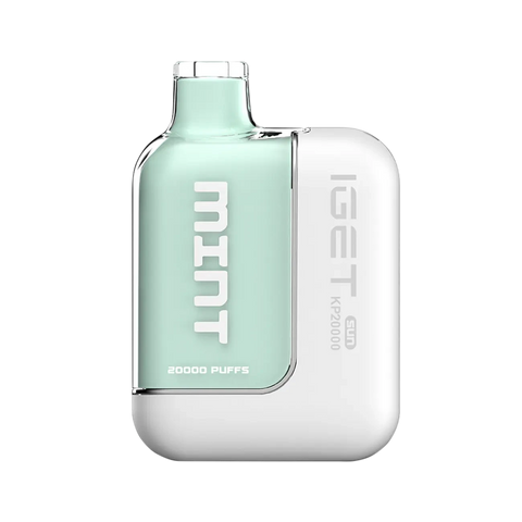 IGET SUN KP20000 Vape Kit Mint flavor disposable