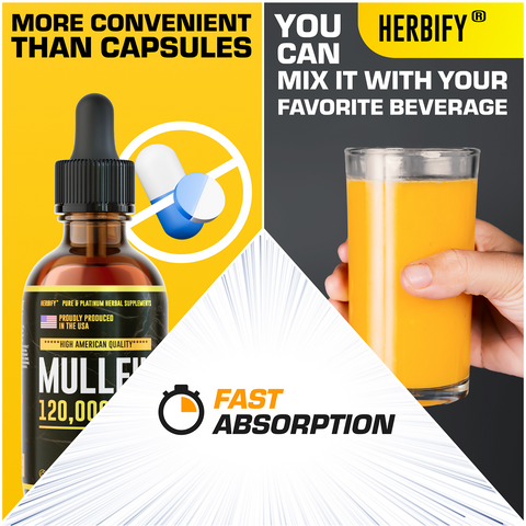 Herbify Mullein Drops – Fast-absorbing organic supplement mixable with juice, more convenient than capsules