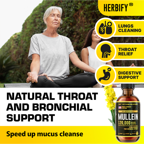 Herbify Mullein Extract – Natural throat, bronchial, and digestive support for respiratory wellness