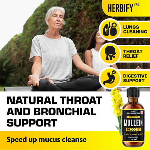 Herbify Mullein Extract 60000mg – Natural lung, throat, and digestive support for respiratory wellness