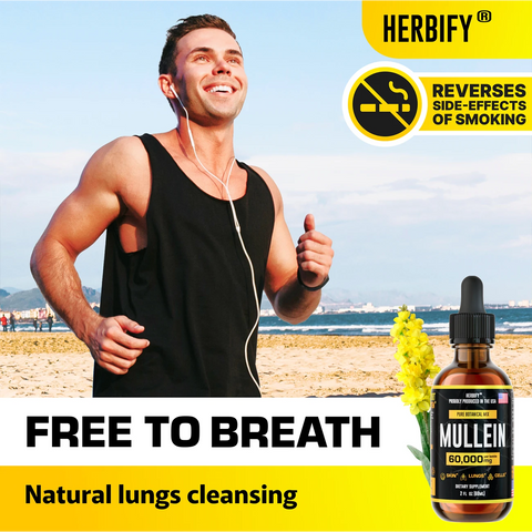 Herbify Mullein Extract – 60000mg lung cleanse for smokers, promotes clear breathing and active lifestyle
